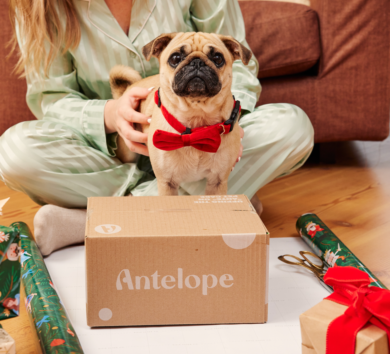 The Official Antelope Holiday Gift Guide